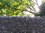 14th May 2012 - Snow in May?