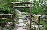 16th May 2012 - The Garden Path