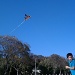 Kite Flying by mariaostrowski