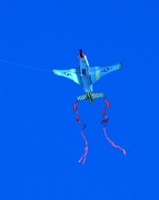 11th May 2012 - Kite Flying