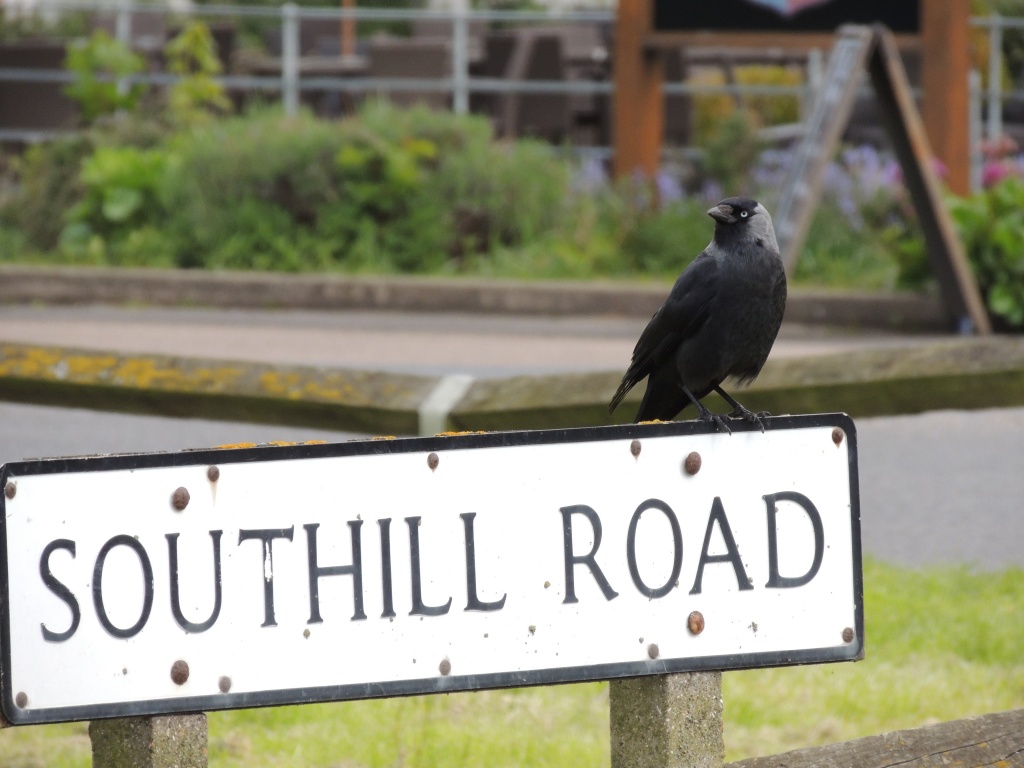 Do you know the way to Southill? by rosiekind