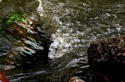 18th May 2012 - Go With The Flow