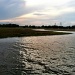 Sunrise on Shem Creek, near Charleston by ggshearron