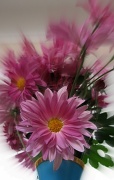 18th May 2012 - Mother's Day Flowers