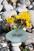 17th May 2012 - Beach Magic