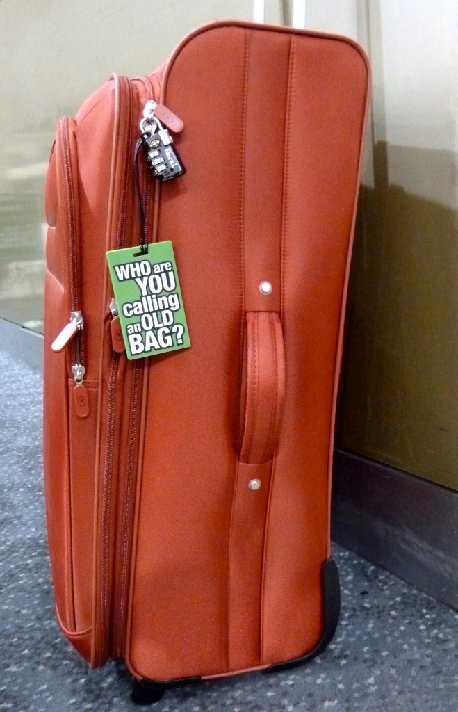 Suitcase by kjarn