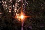 18th May 2012 - Sunflare
