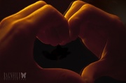 18th May 2012 - Heart