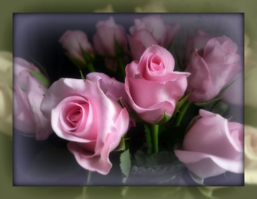 roses for mum by sarah19