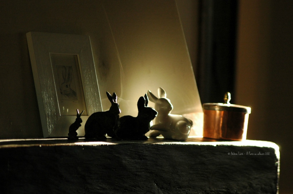 Rabbits in the morning sun by parisouailleurs
