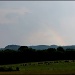 Cows at the end of the rainbow by cjwhite