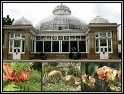 19th May 2012 - The Allan Gardens Conservatory
