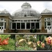 The Allan Gardens Conservatory by summerfield