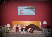 19th May 2012 - The photo that started it all.. in situ