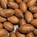 Nuts ... by kwiksilver
