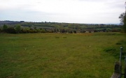 15th May 2012 - Ashdown Forest 