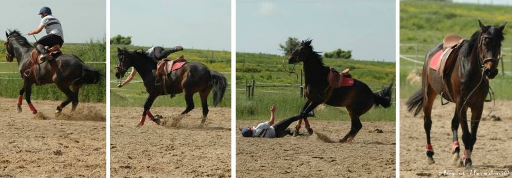 Just for fun: Horse 1 - Rider 0 by parisouailleurs