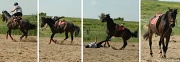 19th May 2012 - Just for fun: Horse 1 - Rider 0
