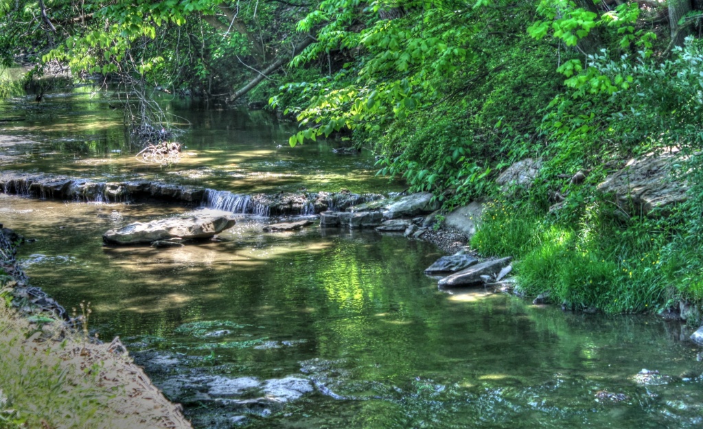 Flowing creek by mittens