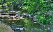 16th May 2012 - Flowing creek