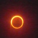 Annular Eclipse by pandorasecho