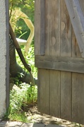 19th May 2012 - Beyond the garden gate
