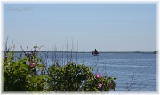 19th May 2012 - Narragansett Bay