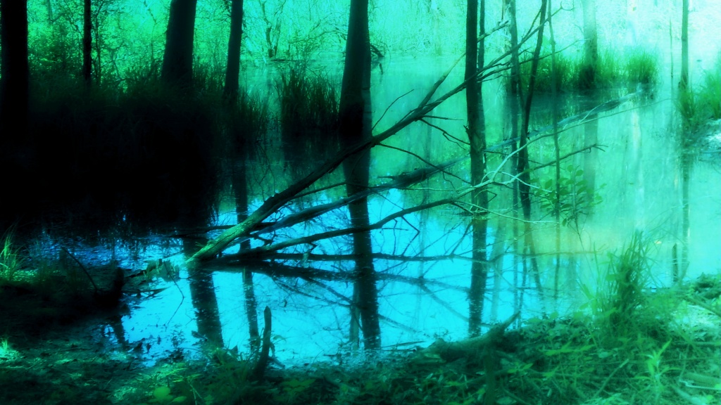 Swamp Mist Dreamscape by yentlski