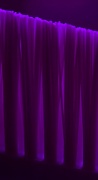 22nd May 2012 - Brushed Into Purple