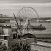 Seattle Is Adding A Giant Ferris Wheel To the Waterfront View.  Check It Out On Pier 57! by seattle