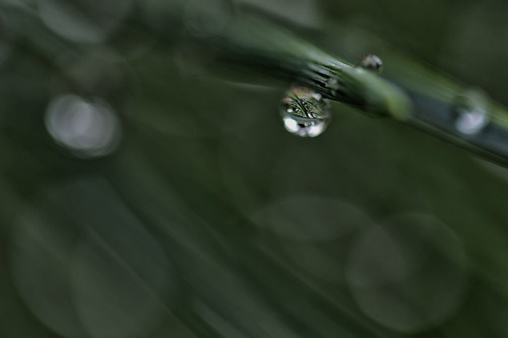Water drops by lstasel