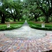 Live Oak Allee by calm