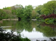 21st Apr 2012 - Central Park Pond and Bridge