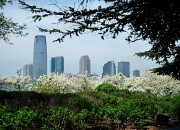 22nd Apr 2012 - View from Battery Park NYC