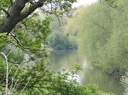22nd May 2012 - The River Ouse in Gt Barford