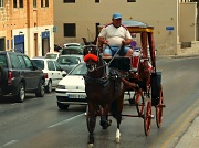 16th May 2012 - Horse & Carriage 