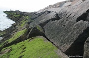 23rd May 2012 - On the Rocks - Hammonasset State Park