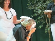 23rd May 2012 - Pied!