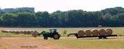 23rd May 2012 - Making Hay While the Sun Shines