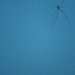 Mr Long Legs by wenbow