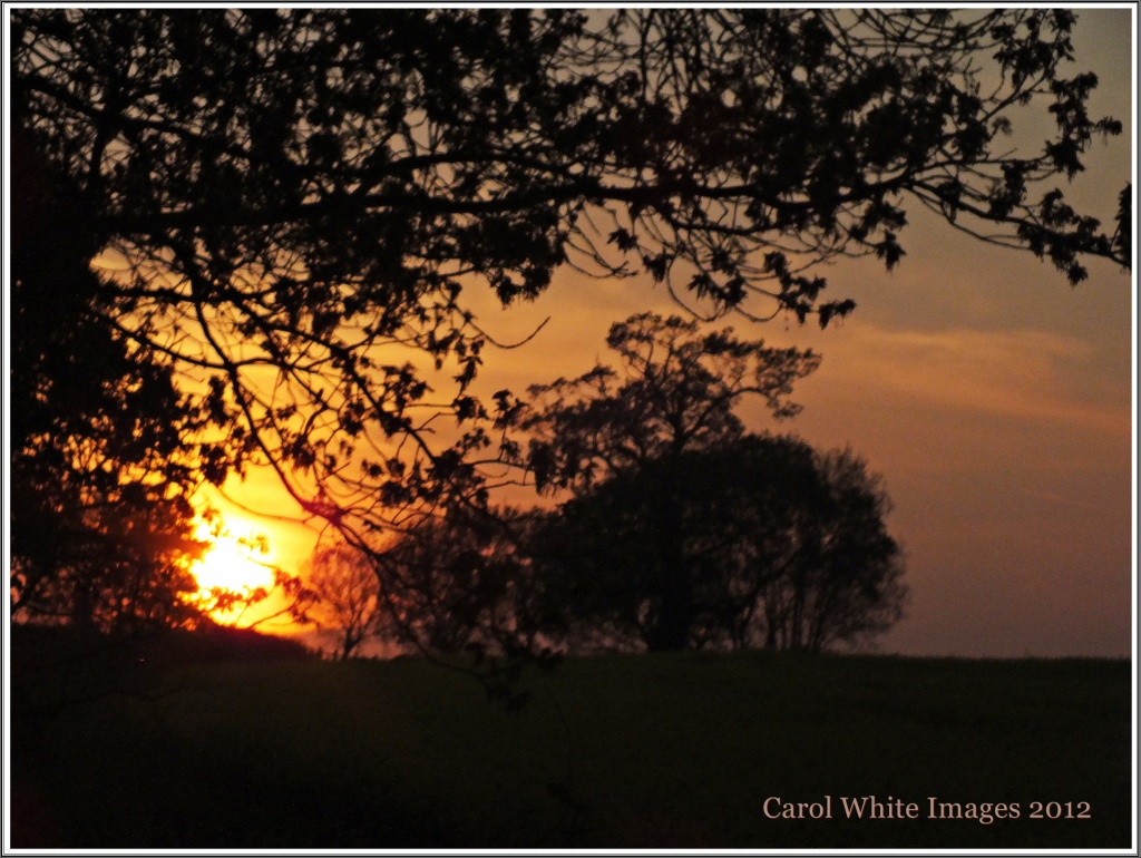 Sunset Near Great Brington by carolmw