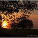 Sunset Near Great Brington by carolmw
