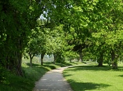 24th May 2012 - Riverside Walk