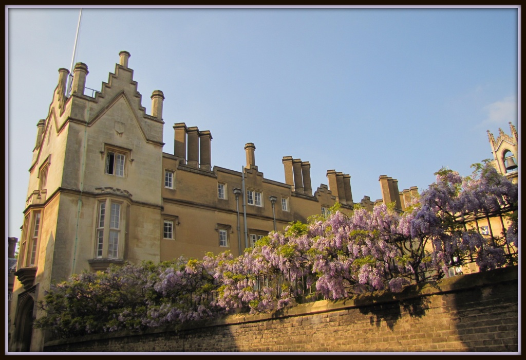 Sidney Sussex College Cambridge by busylady
