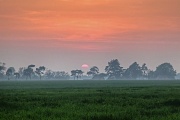 24th May 2012 - hazy sunset