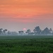 hazy sunset by jantan