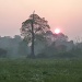Misty Sunset by lellie