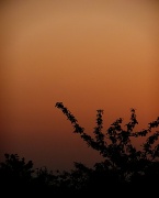24th May 2012 - The Evenings Sky 