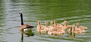 23rd May 2012 - Family Outing
