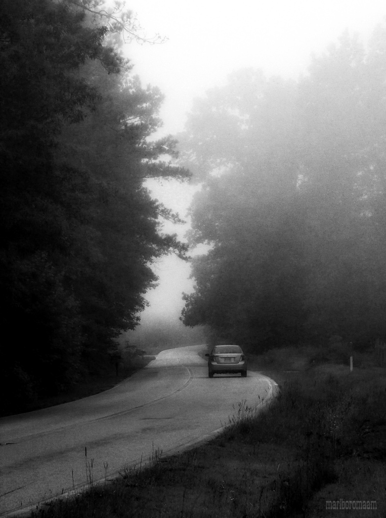Foggy morning breakdown...  by marlboromaam